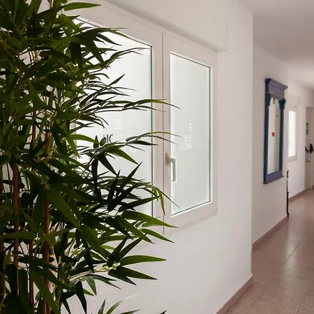 招待所 商务旅舍 德尼亚